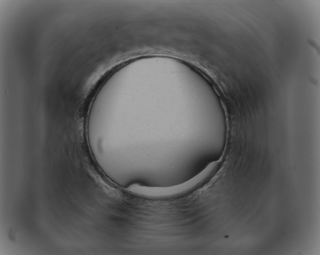 X0000091701503200709210911