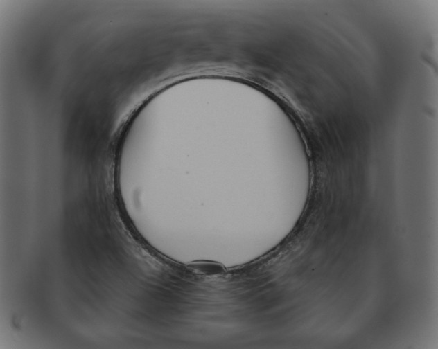 X0000091701504200709210911