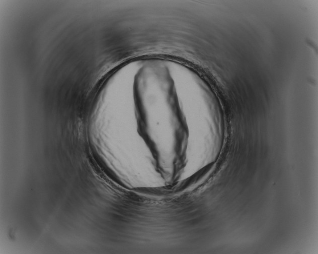 X0000091701505200709210911