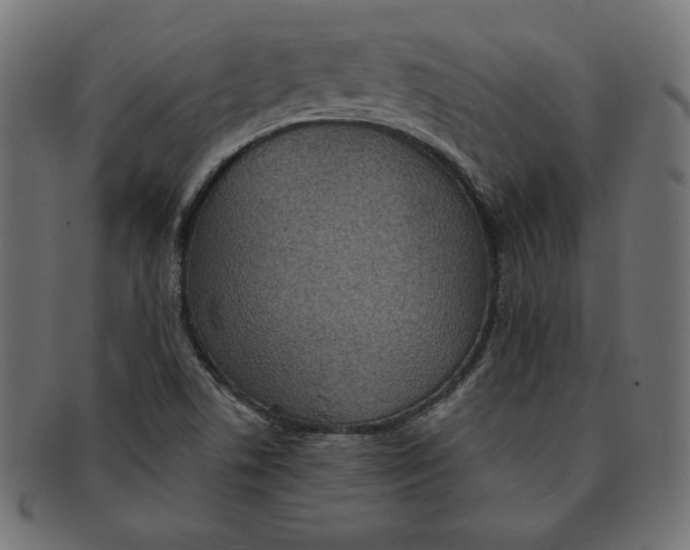 X0000091701506200709210911