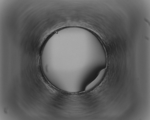 X0000091701507200709210911