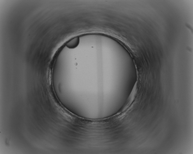 X0000091701510200709210912