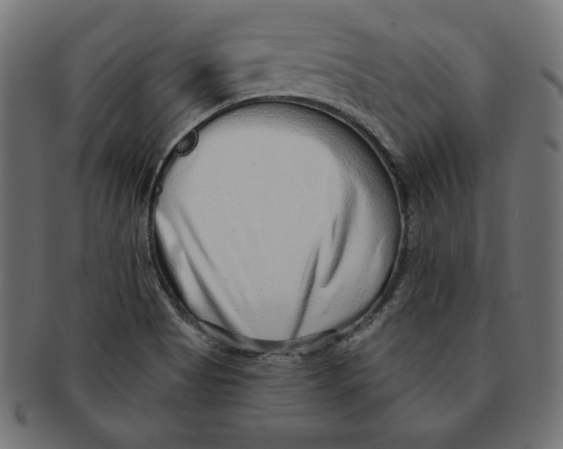 X0000091701513200709210912