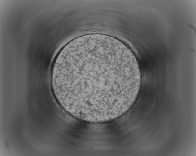 X0000091701514200709210912