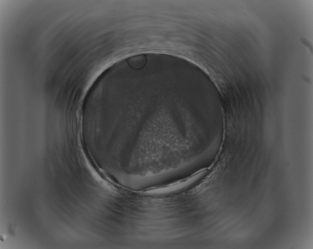 X0000091701515200709210912