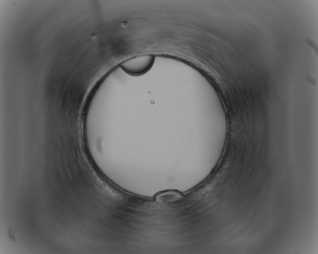 X0000091701517200709210912