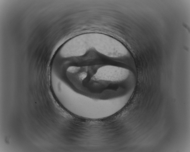 X0000091701522200709210912