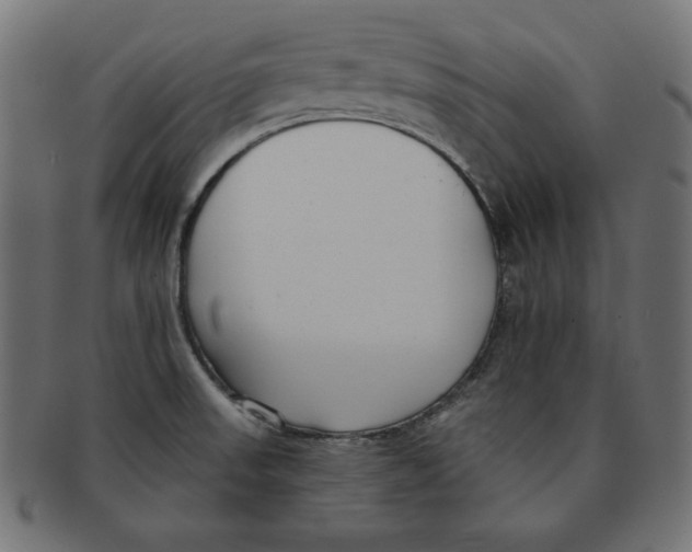 X0000091701523200709210912