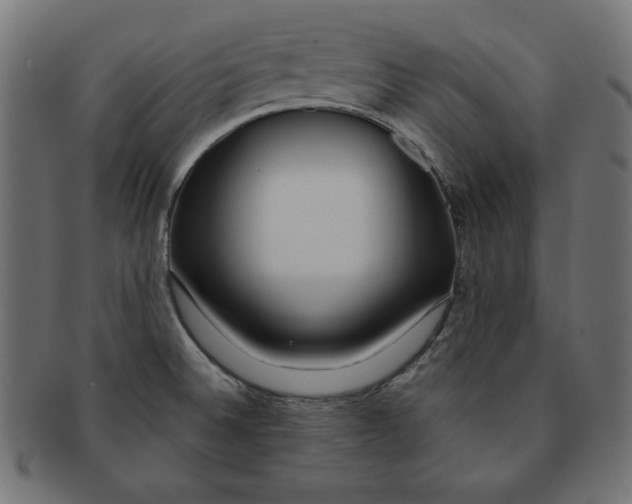 X0000091701524200709210912