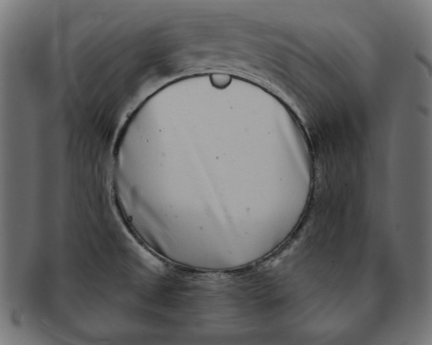 X0000091701525200709210912