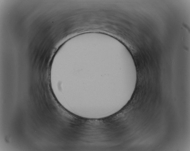 X0000091701526200709210912