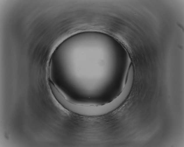 X0000091701528200709210912