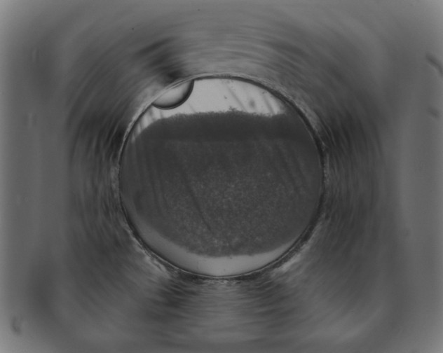 X0000091701529200709210912