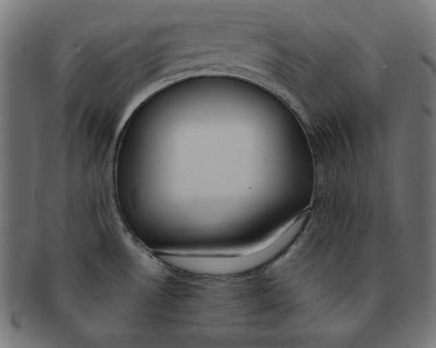 X0000091701530200709210912