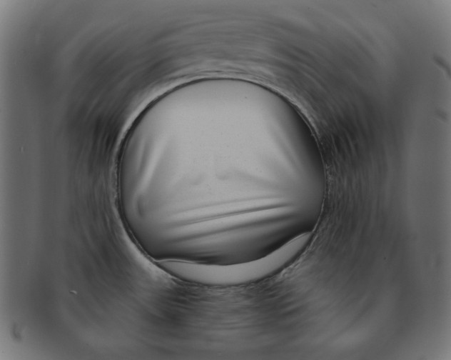 X0000091701531200709210912