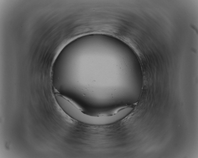 X0000091701532200709210912