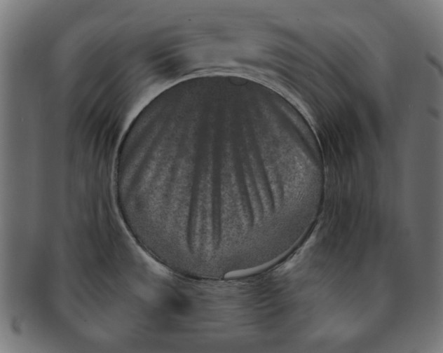 X0000091701533200709210912