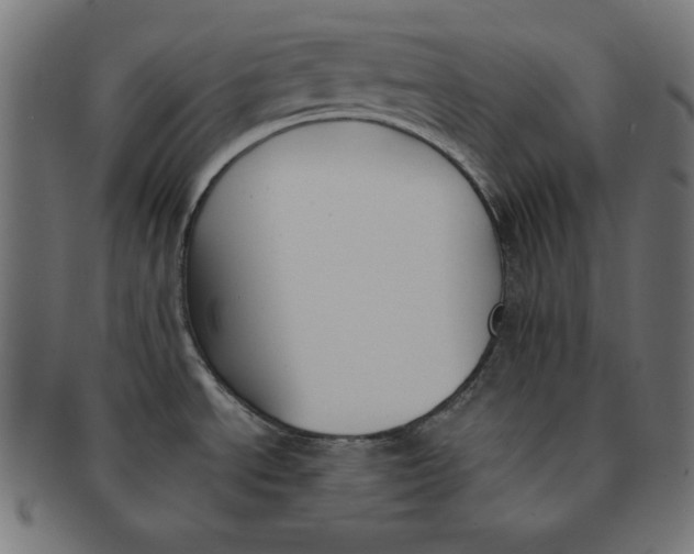 X0000091701534200709210912