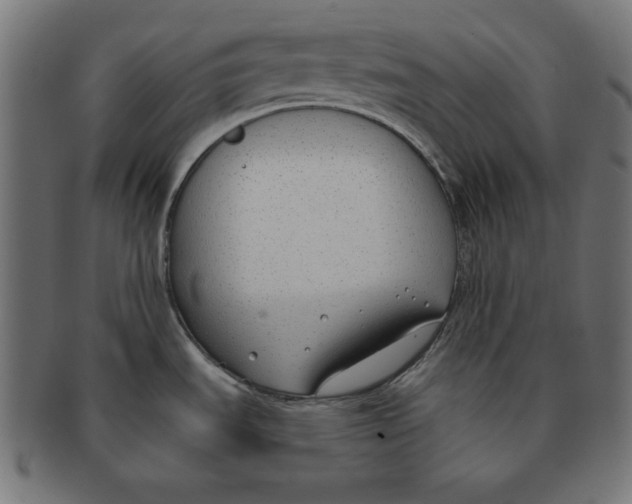 X0000091701535200709210912