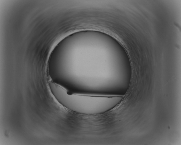 X0000091701536200709210912