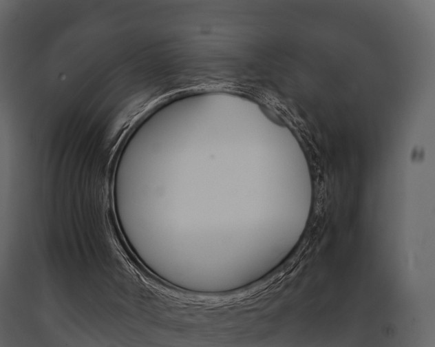 X0000091710002200708241007