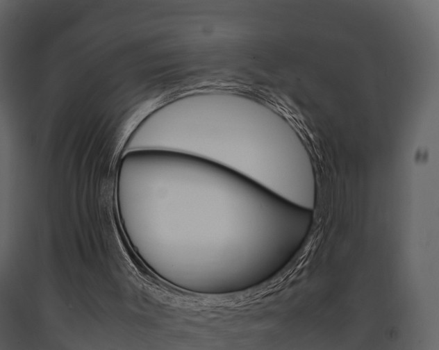 X0000091710003200708241007
