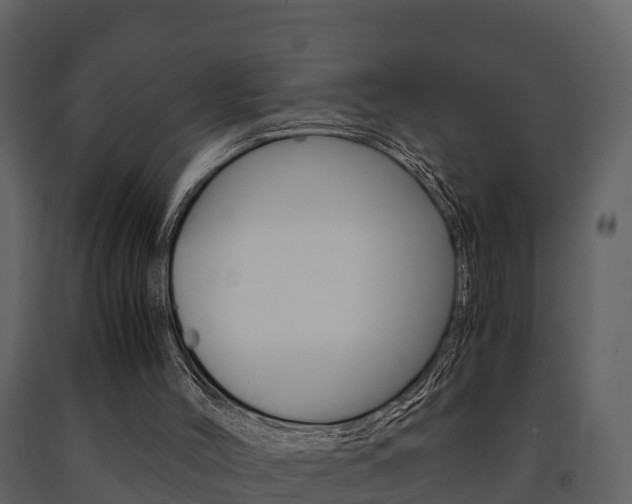 X0000091710004200708241007