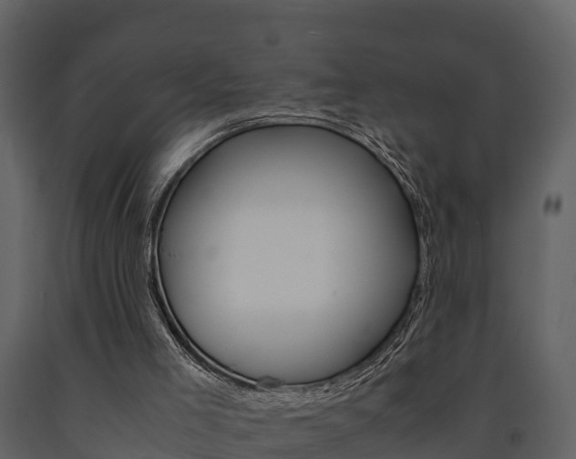 X0000091710005200708241007