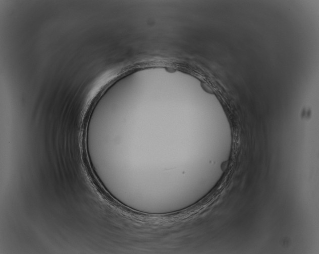 X0000091710006200708241006