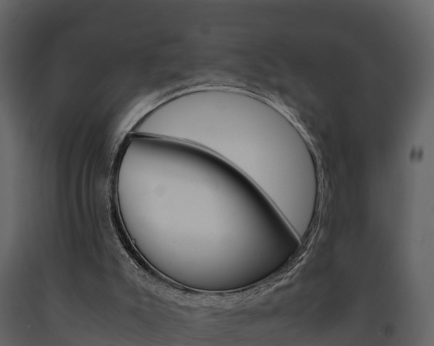 X0000091710007200708241006