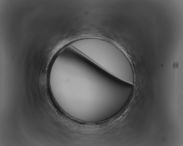 X0000091710008200708241006