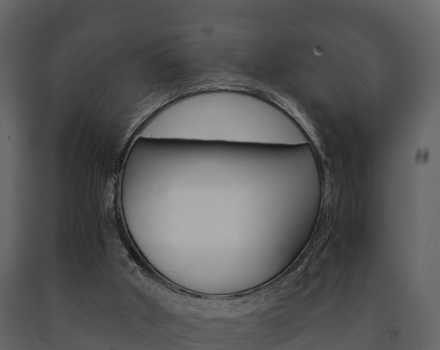 X0000091710010200708241006