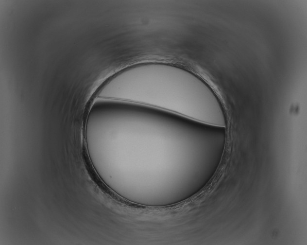 X0000091710011200708241006