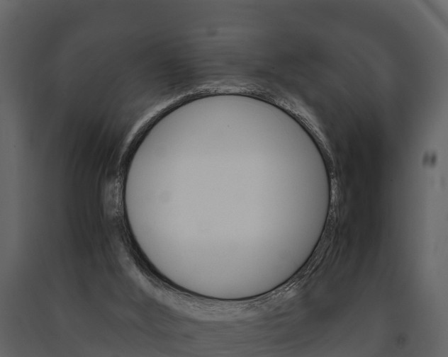 X0000091710012200708241006
