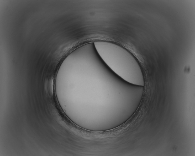 X0000091710014200708241006