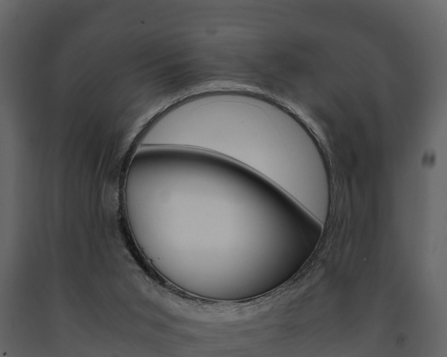 X0000091710015200708241006