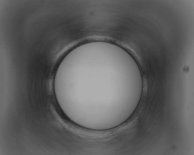 X0000091710016200708241006