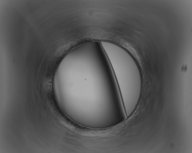 X0000091710017200708241006