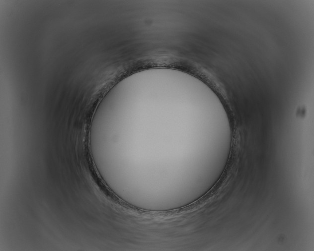 X0000091710018200708241006