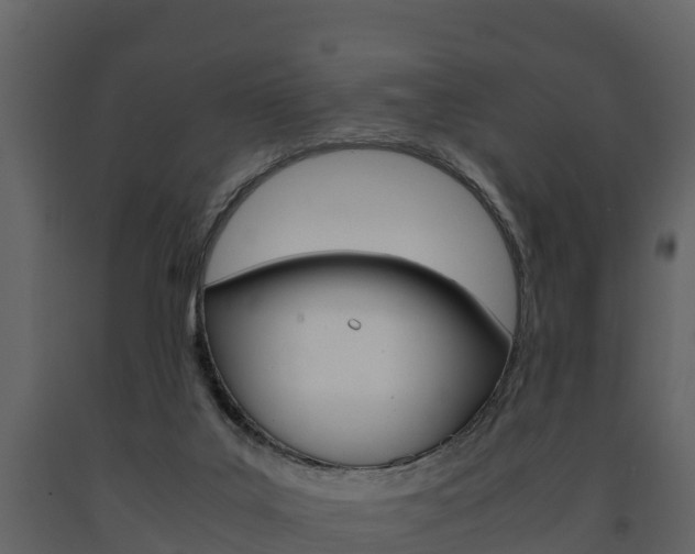 X0000091710019200708241006