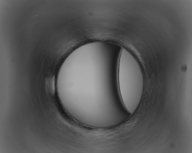 X0000091710020200708241006