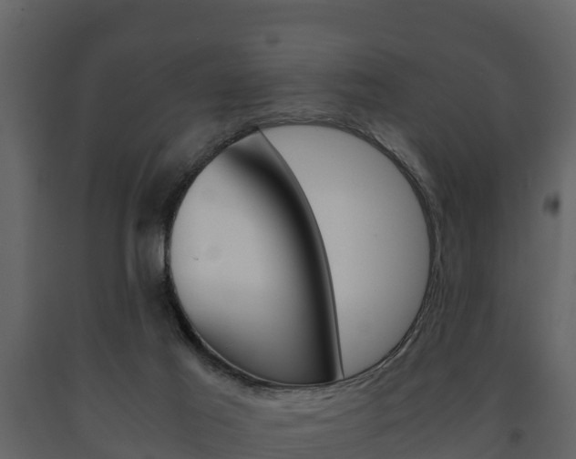 X0000091710021200708241006