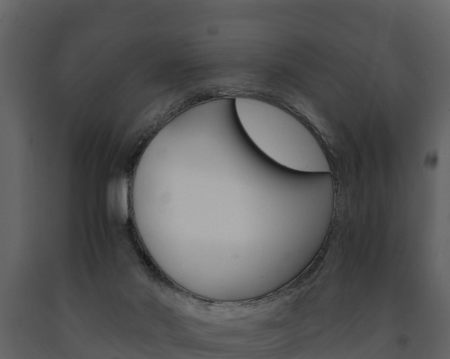 X0000091710022200708241006