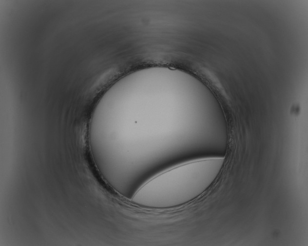 X0000091710023200708241006