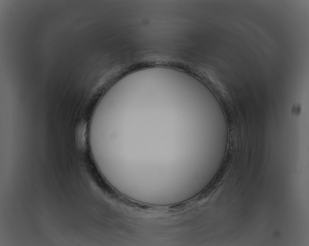 X0000091710024200708241006