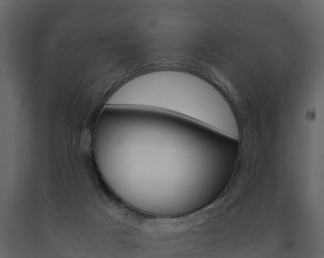 X0000091710025200708241006