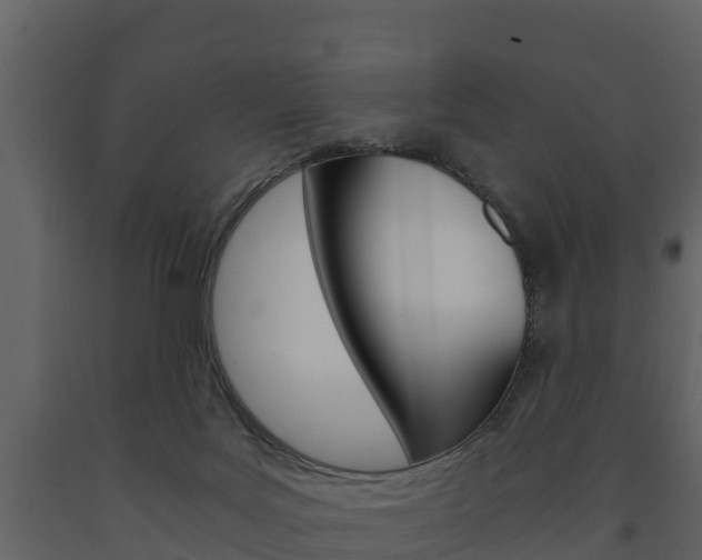 X0000091710027200708241006