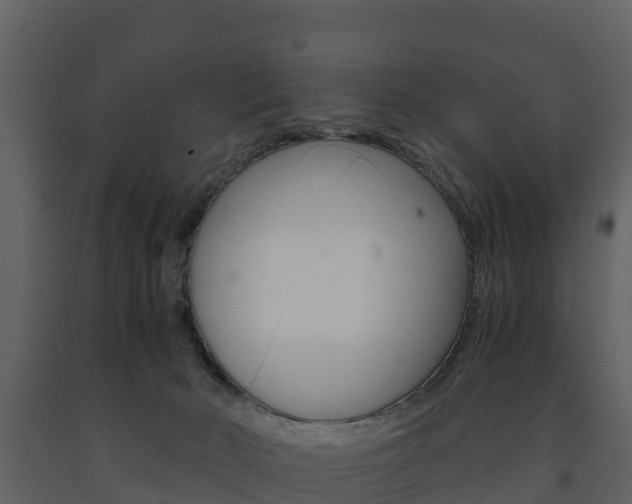 X0000091710030200708241006