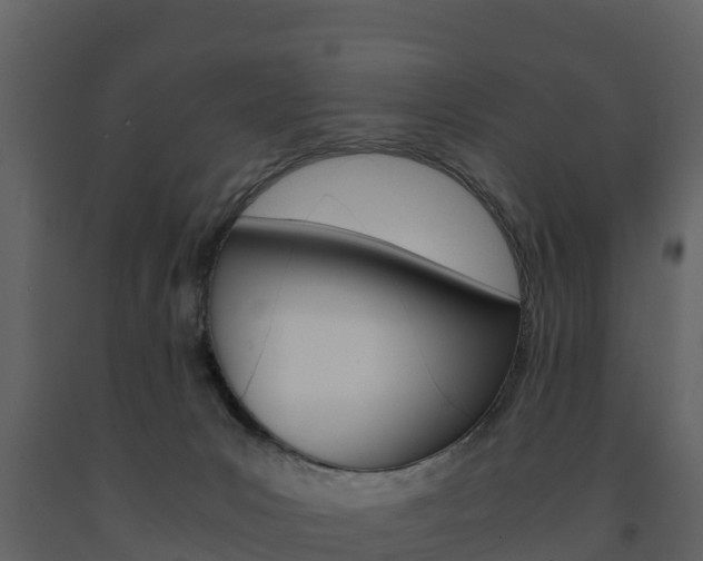 X0000091710031200708241006