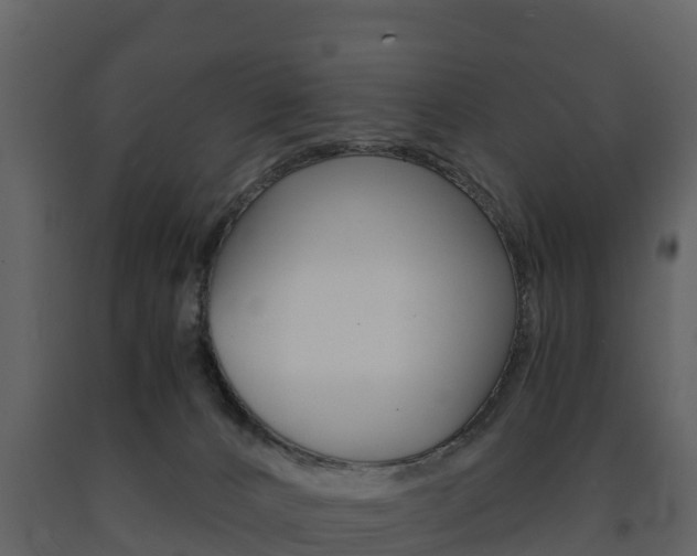 X0000091710032200708241006